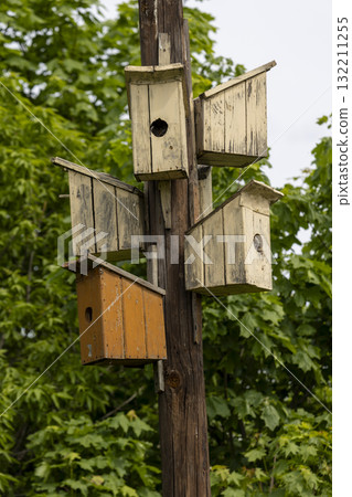 many colorful wooden birdhouses hanging in the park in spring many colorful wooden birdhouses hanging in the park in spring 132211255
