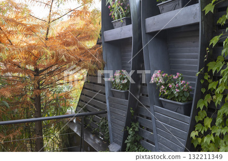 ivy leaves and an interior with boats ivy leaves and an interior with boats 132211349