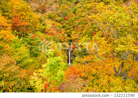 栃木縣那鬚町駒留瀑布,紅葉染紅 栃木縣那鬚町駒留瀑布,紅葉染紅 132211590