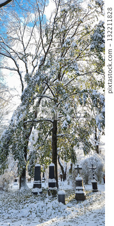 Winter view of famous Old North Cemetery of Munich, Germany with Winter view of famous Old North Cemetery of Munich, Germany with 132211828