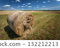 A large round bale of hay lies in the field 132212213