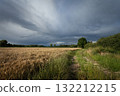 Storm clouds over a grain field and a dirt road 132212215