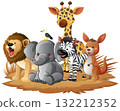 Cartoon African Animals Group on Grass Patch 132212352
