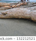 Driftwood launched to the coast 132212521