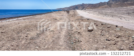 Scenic coastline along the Red Sea, Dahab, South Sinai, Egypt Scenic coastline along the Red Sea, Dahab, South Sinai, Egypt 132212721