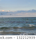 Sea and birds 132212939