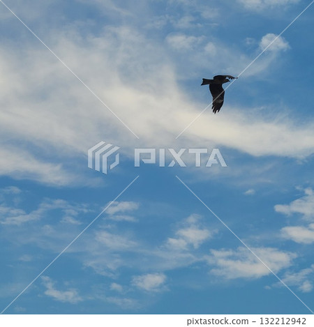 Birds flying in the sky Birds flying in the sky 132212942