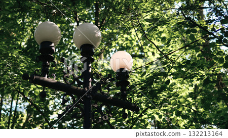 Vintage Street Lamp Among Green Tree Leaves Vintage Street Lamp Among Green Tree Leaves 132213164