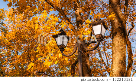 Vintage Street Lamps Framed by Bright Autumn Leaves Against Blue Sky 132213181
