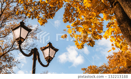 Golden Lamps Beneath Autumn Canopy and Blue Sky Golden Lamps Beneath Autumn Canopy and Blue Sky 132213188