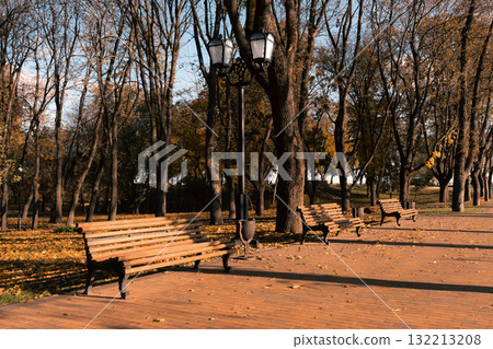 Park Promenade with Fallen Leaves and Warm Light" Park Promenade with Fallen Leaves and Warm Light" 132213208