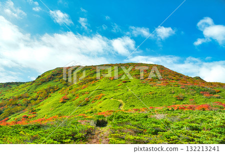 Nishigo Village, Fukushima Prefecture: Autumn leaves painted in red as seen from Mount Akamen 132213241