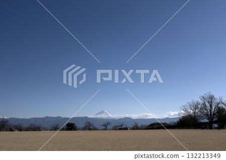 A winter-withered grass field, snow-capped Mount Fuji, and a clear blue sky A winter-withered grass field, snow-capped Mount Fuji, and a clear blue sky 132213349