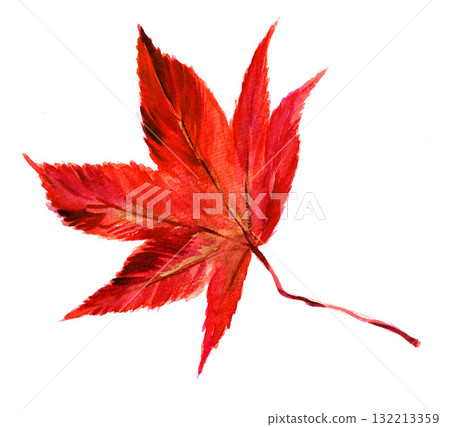 水彩畫的秋葉 251021pix7 水彩畫的秋葉 251021pix7 132213359