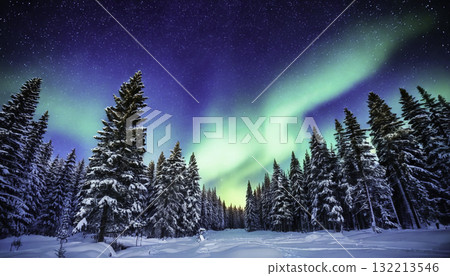 Aurora Borealis Illuminates Snowy Forest Night Aurora Borealis Illuminates Snowy Forest Night 132213546