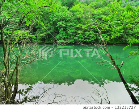 Aomori Juniko Lake in summer: Keitoba Pond surrounded by fresh greenery Aomori Juniko Lake in summer: Keitoba Pond surrounded by fresh greenery 132213727