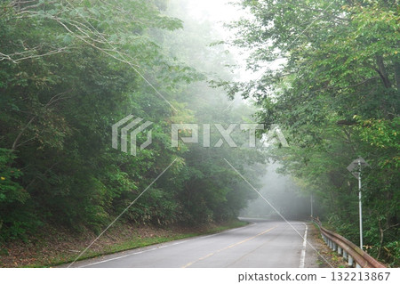 霧濛濛的秋季山路 霧濛濛的秋季山路 132213867