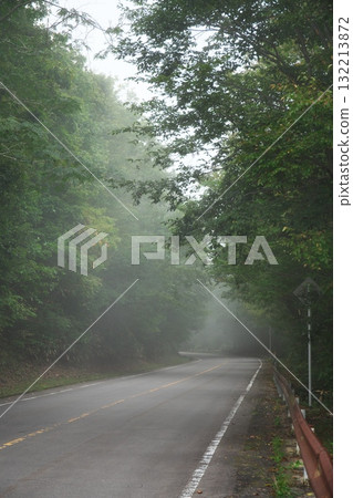 Foggy autumn road in the mountains 132213872