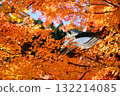 寺廟的庭院染成紅色 寺廟的庭院染成紅色 132214085