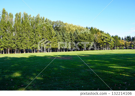手稻稻住公園的草地 手稻稻住公園的草地 132214106