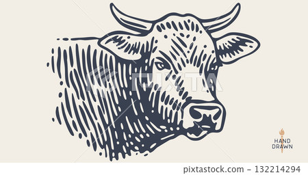 Cow, bull, beef. Hand drawn vintage retro print, black white cow, bull, beef sketch ink pencil drawing, engrave old school. Sketch artwork silhouette cow. Side view profile bull. Vector Illustration Cow, bull, beef. Hand drawn vintage retro print, black white cow, bull, beef sketch ink pencil drawing, engrave old school. Sketch artwork silhouette cow. Side view profile bull. Vector Illustration 132214294
