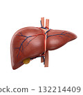 CG liver 132214409