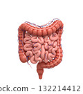 CGI intestines 132214412