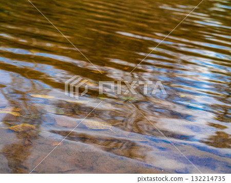 Calm waves in the river as a background. Water with waves in a warm color scheme Calm waves in the river as a background. Water with waves in a warm color scheme 132214735