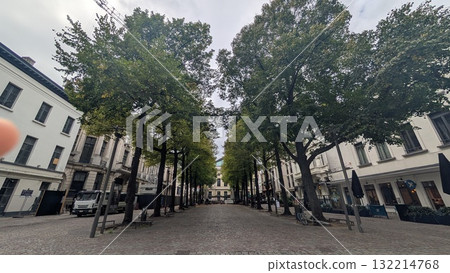 Trees view in a small square 132214768