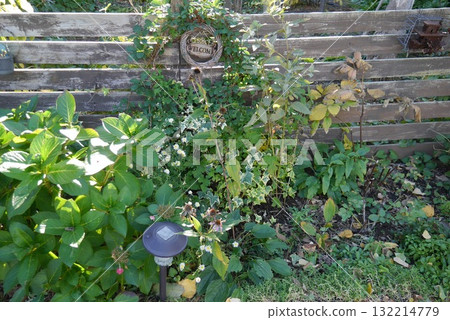 The leaves wither and autumn deepens in the garden The leaves wither and autumn deepens in the garden 132214779