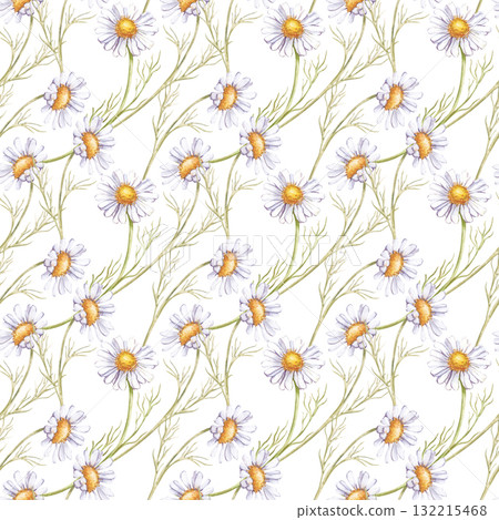 Watercolor seamless pattern with daisies, hand-drawn. Botanical seamless background with white wildflowers. For packaging, wallpaper, cosmetics, textiles and tableware Watercolor seamless pattern with daisies, hand-drawn. Botanical seamless background with white wildflowers. For packaging, wallpaper, cosmetics, textiles and tableware 132215468