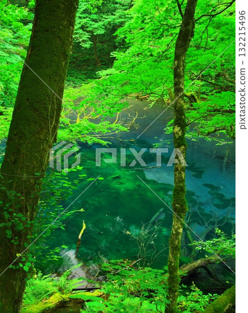 Aomori Juniko Lake in summer: Fukatsubo Pond surrounded by fresh greenery Aomori Juniko Lake in summer: Fukatsubo Pond surrounded by fresh greenery 132215496