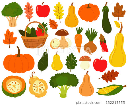 各種蔬菜和秋葉的插圖集 132215555