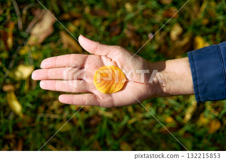 Autumn leaf in man hand on sunny day. Beauty nature 132215853