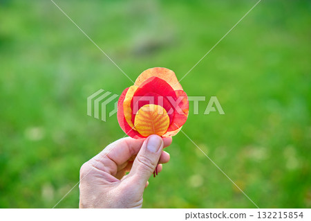 Colorful autumn leaves in hand on sunny day. Beauty nature Colorful autumn leaves in hand on sunny day. Beauty nature 132215854