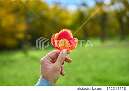 Colorful autumn leaves in hand on sunny day. Beauty nature 132215858