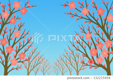 Frame material Plum grove Plum blossoms in full bloom Vector 132215939
