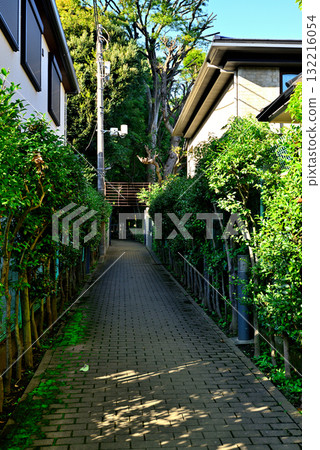 Tokyo Komaba Park, former Maeda family residence, Western-style building Tokyo Komaba Park, former Maeda family residence, Western-style building 132216054