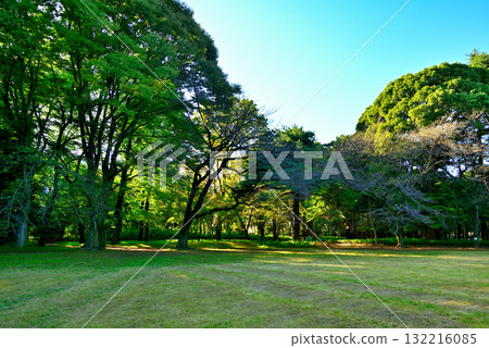 Tokyo Komaba Park, former Maeda family residence, Western-style building Tokyo Komaba Park, former Maeda family residence, Western-style building 132216085