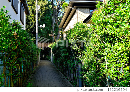 Tokyo Komaba Park, former Maeda family residence, Western-style building Tokyo Komaba Park, former Maeda family residence, Western-style building 132216294