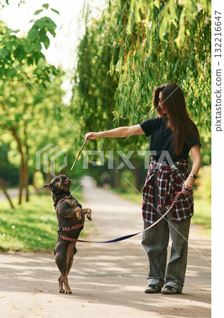 Hawing a walk. Young pretty woman is with her dog in the park Hawing a walk. Young pretty woman is with her dog in the park 132216647