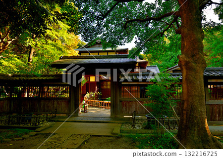 Tokyo Komaba Park, Former Maeda Family Residence, Japanese-style Building Tokyo Komaba Park, Former Maeda Family Residence, Japanese-style Building 132216725