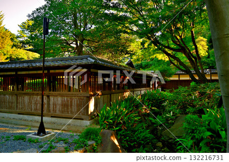 Tokyo Komaba Park, Former Maeda Family Residence, Japanese-style Building 132216731