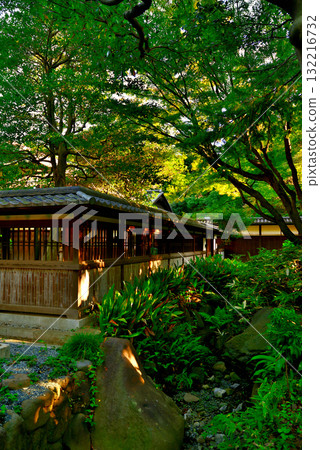 Tokyo Komaba Park, Former Maeda Family Residence, Japanese-style Building 132216732