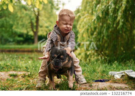Riding the animal, sitting on it. Cute little boy is with French Bulldog outdoors in the park Riding the animal, sitting on it. Cute little boy is with French Bulldog outdoors in the park 132216774