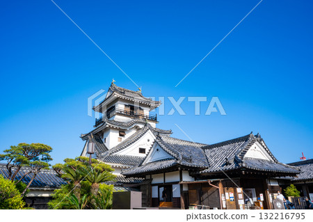 View of Kochi Castle (Kochi City) View of Kochi Castle (Kochi City) 132216795