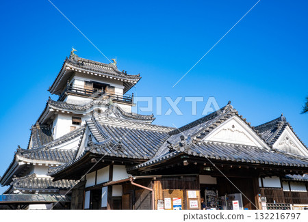 View of Kochi Castle (Kochi City) View of Kochi Castle (Kochi City) 132216797