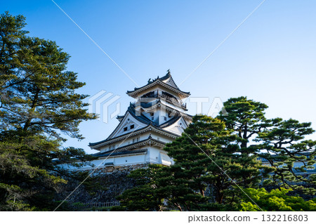 View of Kochi Castle (Kochi City) View of Kochi Castle (Kochi City) 132216803