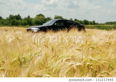 Black car in a wheat field on a sunny day with blue sky 132217448