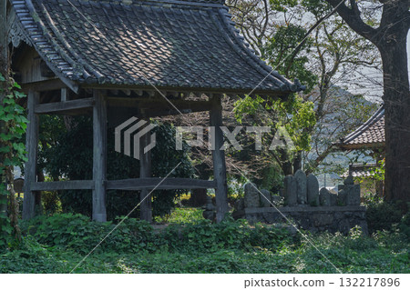 Photographing the ruins of Tanba Kokubunji Temple in Kameoka City, a nationally designated historic site 132217896